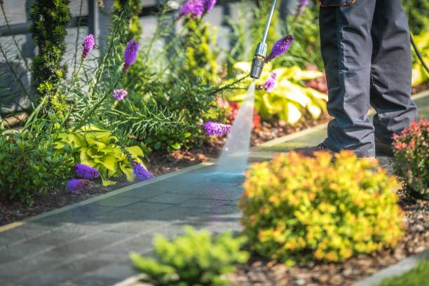 Best Soft Washing  in Holtsville, NY