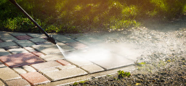 Best Driveway Pressure Washing  in Holtsville, NY